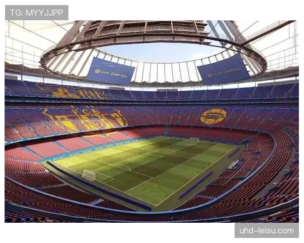 2026年欧冠决赛场馆温布利启动草皮更换工程